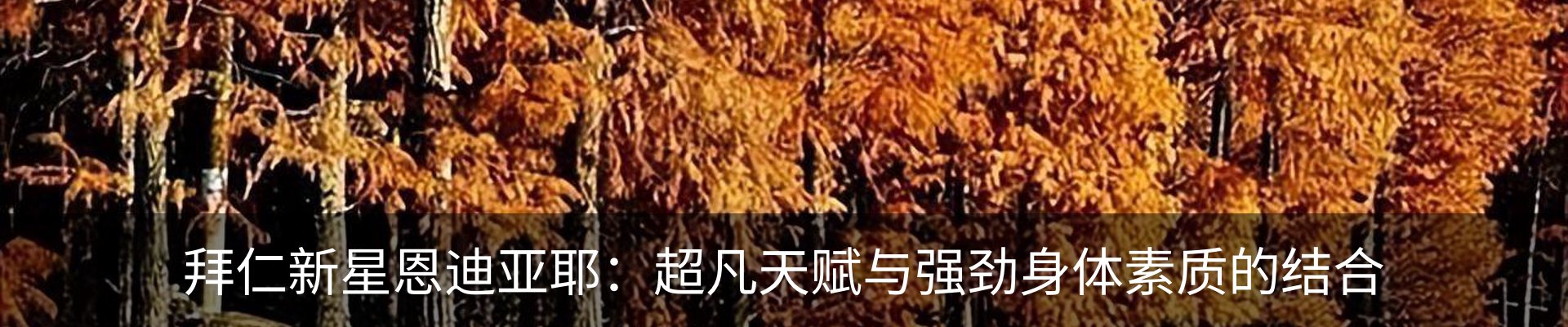新闻中心